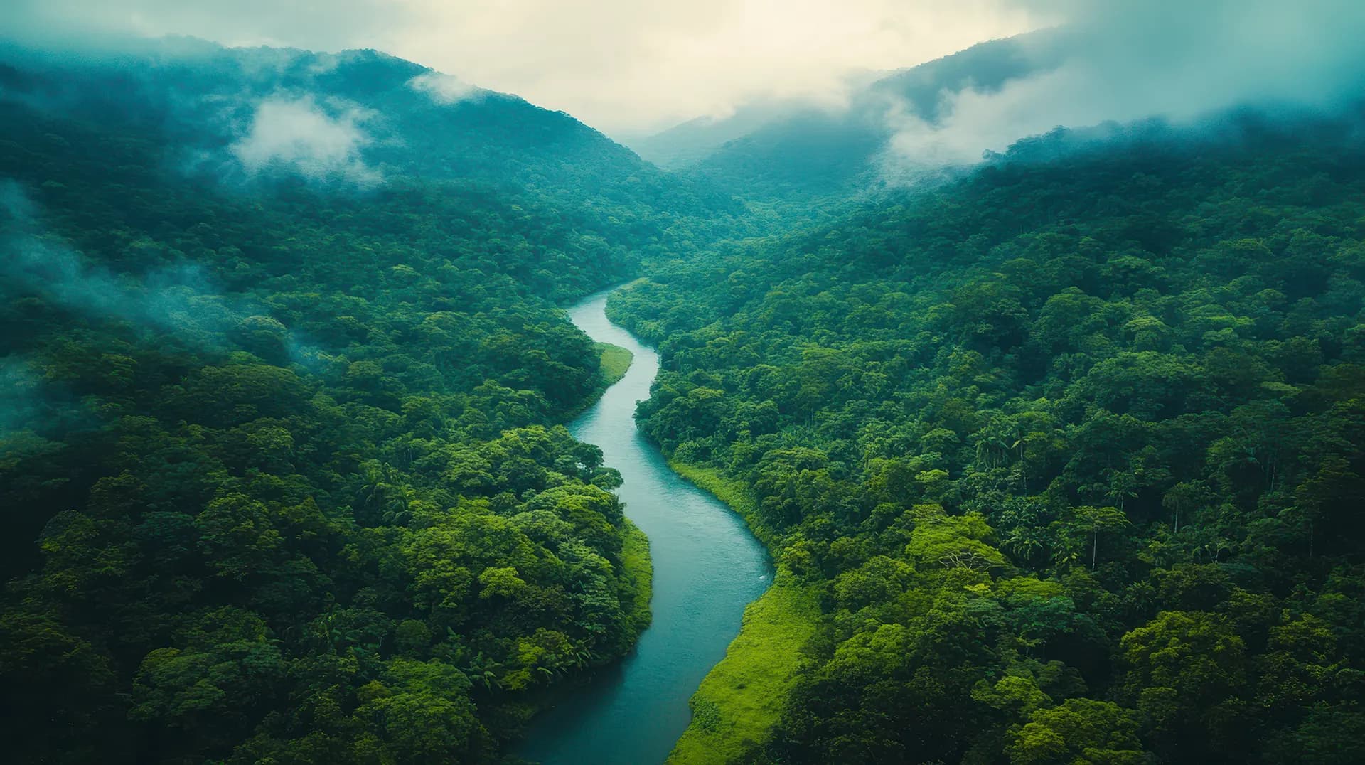 Vista aérea de un río atravesando la selva tropical latinoamericana